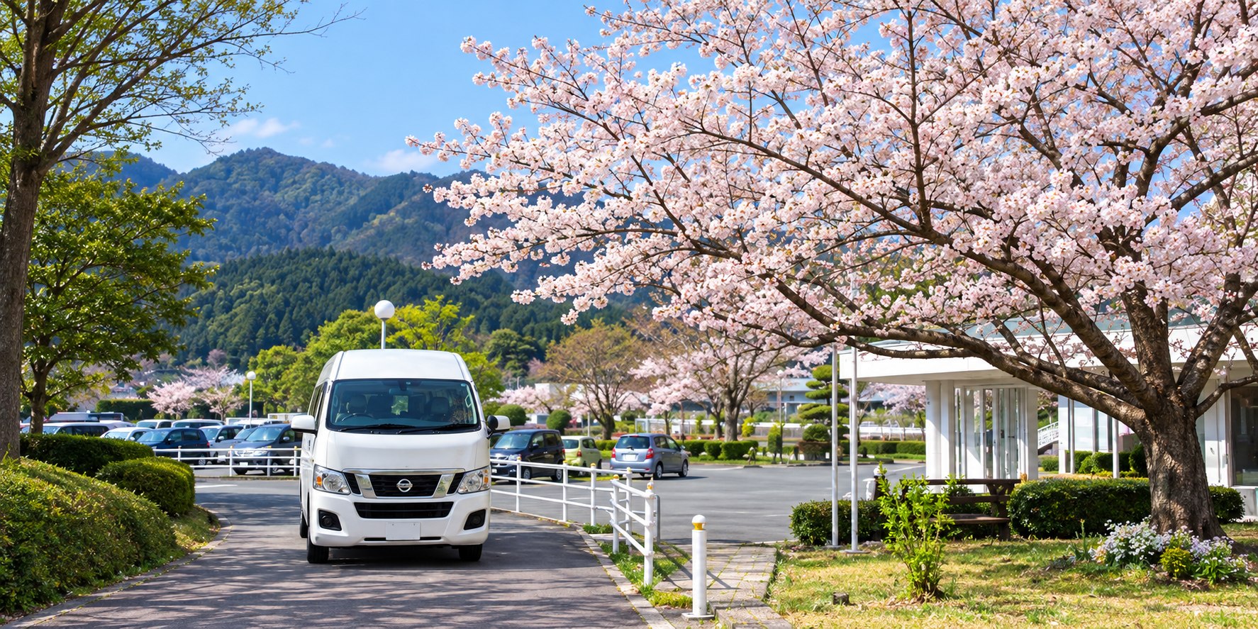 桜の咲く敷地と送迎車